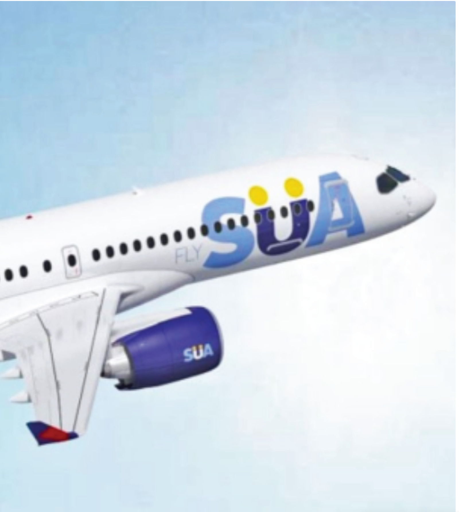 aerohub, cabin crew training, agentes de aeropuerto, uruguay, azafata, aeropuerto
